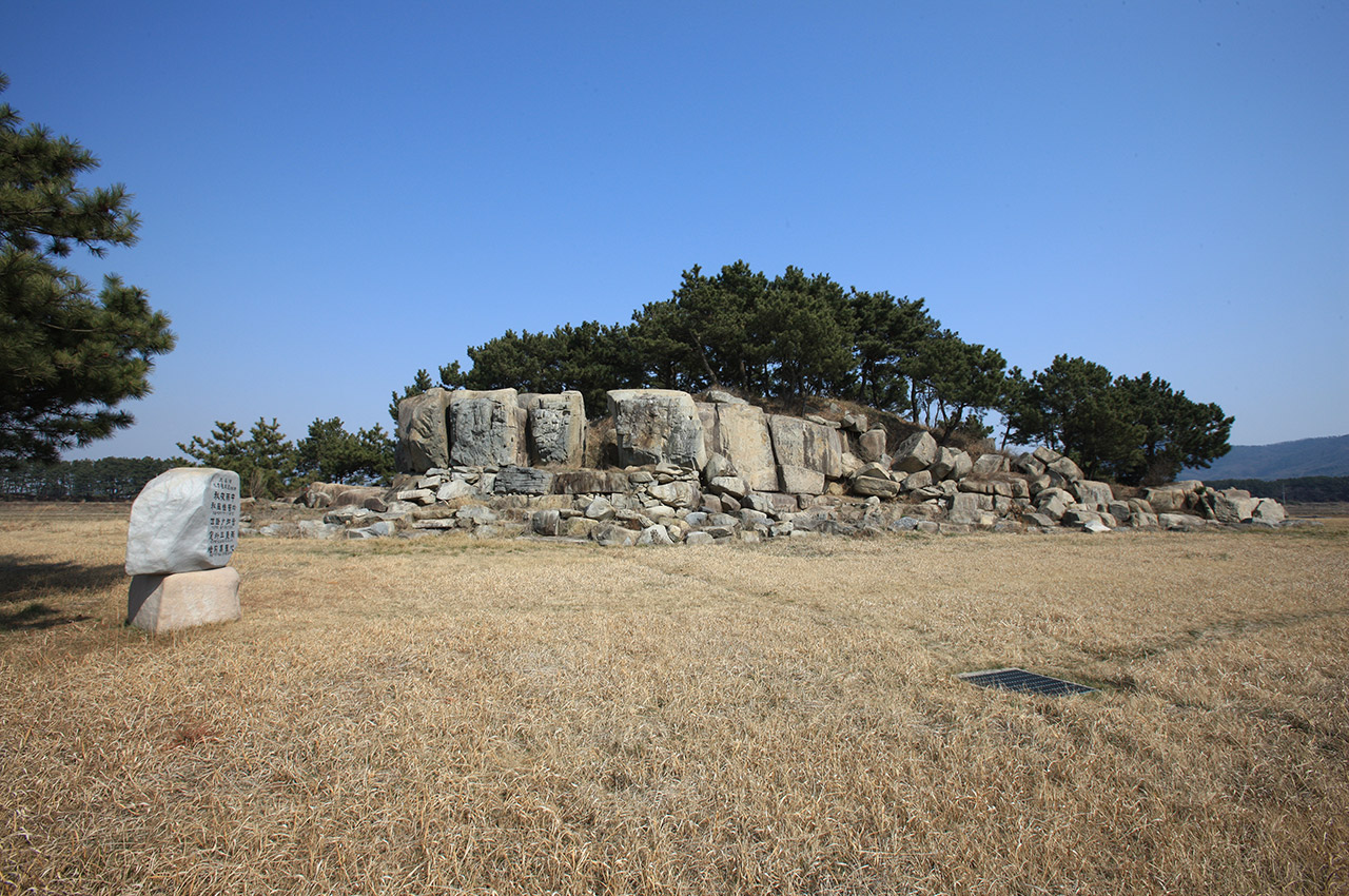 보리섬 사진