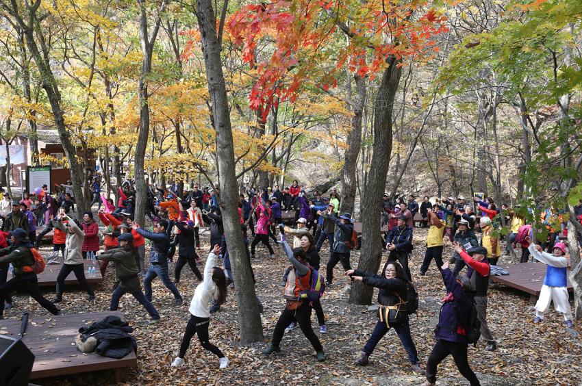 성주산 단풍축제 및 단풍길 걷기대회 개최